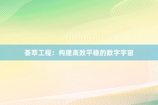 荟萃工程：构建高效平稳的数字宇宙